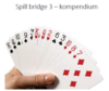 Spill Bridge 3 kompendium